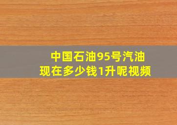 中国石油95号汽油现在多少钱1升呢视频