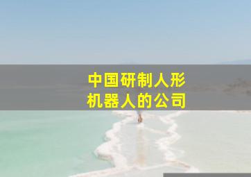 中国研制人形机器人的公司