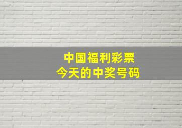 中国福利彩票今天的中奖号码