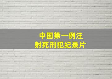 中国第一例注射死刑犯纪录片