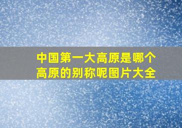 中国第一大高原是哪个高原的别称呢图片大全