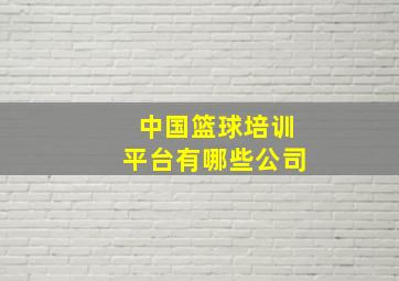 中国篮球培训平台有哪些公司