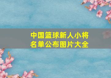 中国篮球新人小将名单公布图片大全