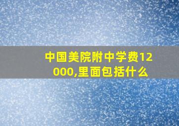 中国美院附中学费12000,里面包括什么