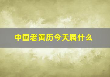 中国老黄历今天属什么