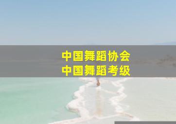 中国舞蹈协会中国舞蹈考级