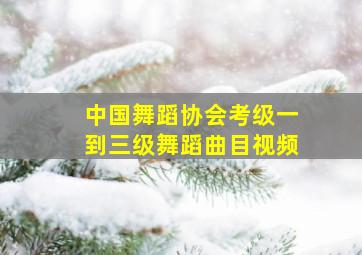 中国舞蹈协会考级一到三级舞蹈曲目视频