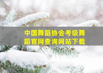 中国舞蹈协会考级舞蹈官网查询网站下载