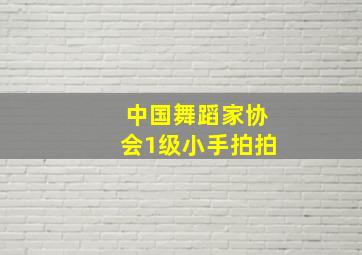 中国舞蹈家协会1级小手拍拍