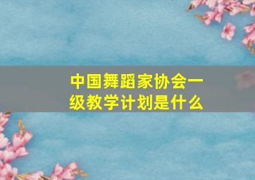 中国舞蹈家协会一级教学计划是什么