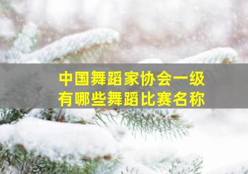 中国舞蹈家协会一级有哪些舞蹈比赛名称