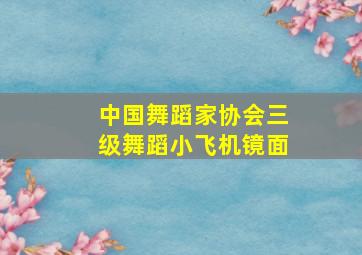 中国舞蹈家协会三级舞蹈小飞机镜面