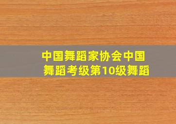 中国舞蹈家协会中国舞蹈考级第10级舞蹈