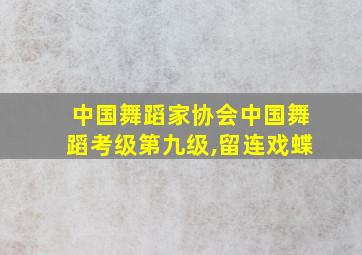 中国舞蹈家协会中国舞蹈考级第九级,留连戏蝶