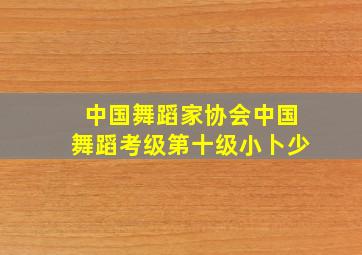 中国舞蹈家协会中国舞蹈考级第十级小卜少