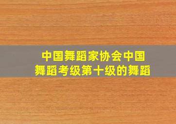 中国舞蹈家协会中国舞蹈考级第十级的舞蹈