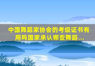 中国舞蹈家协会的考级证书有用吗国家承认哪些舞蹈...