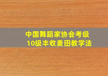 中国舞蹈家协会考级10级丰收麦田教学法