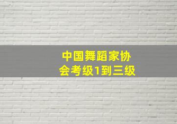 中国舞蹈家协会考级1到三级