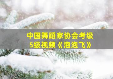 中国舞蹈家协会考级5级视频《泡泡飞》