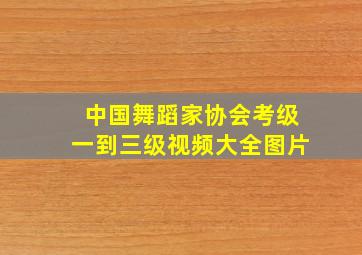 中国舞蹈家协会考级一到三级视频大全图片