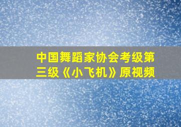 中国舞蹈家协会考级第三级《小飞机》原视频