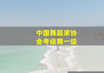 中国舞蹈家协会考级舞一级