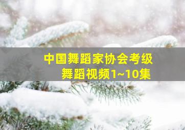 中国舞蹈家协会考级舞蹈视频1~10集