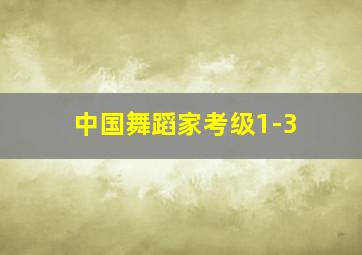 中国舞蹈家考级1-3