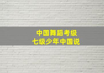 中国舞蹈考级七级少年中国说