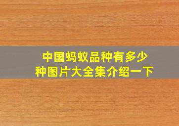 中国蚂蚁品种有多少种图片大全集介绍一下