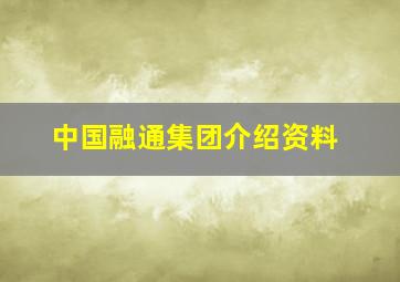 中国融通集团介绍资料