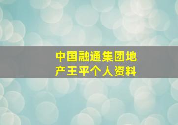 中国融通集团地产王平个人资料