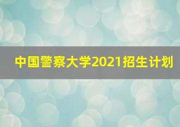 中国警察大学2021招生计划