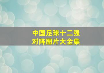 中国足球十二强对阵图片大全集