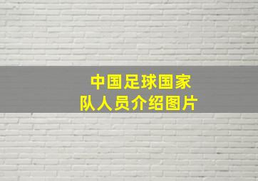 中国足球国家队人员介绍图片