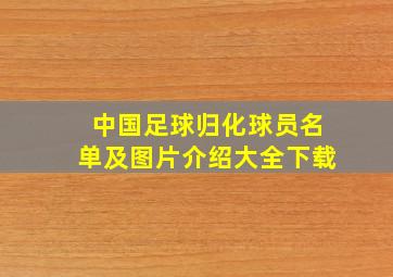 中国足球归化球员名单及图片介绍大全下载