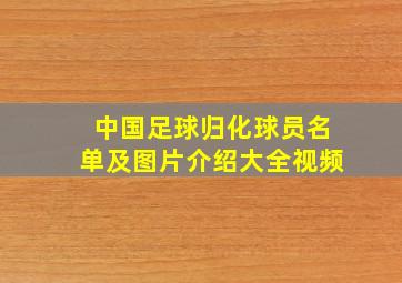 中国足球归化球员名单及图片介绍大全视频