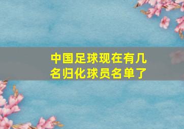 中国足球现在有几名归化球员名单了