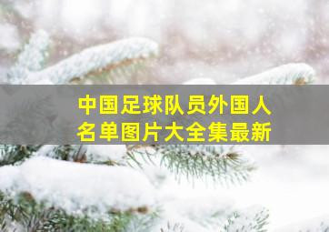 中国足球队员外国人名单图片大全集最新