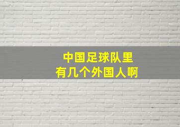 中国足球队里有几个外国人啊