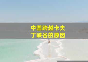 中国跨越卡夫丁峡谷的原因