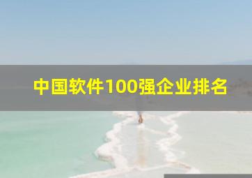 中国软件100强企业排名