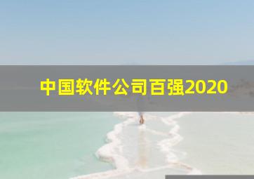 中国软件公司百强2020