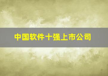 中国软件十强上市公司