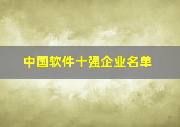 中国软件十强企业名单