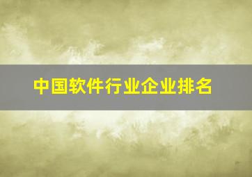 中国软件行业企业排名