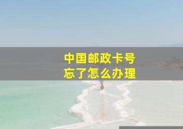 中国邮政卡号忘了怎么办理