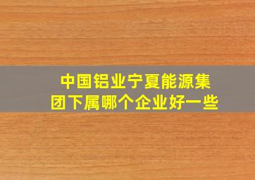 中国铝业宁夏能源集团下属哪个企业好一些