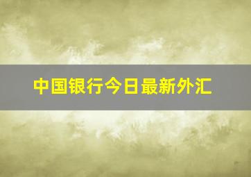 中国银行今日最新外汇